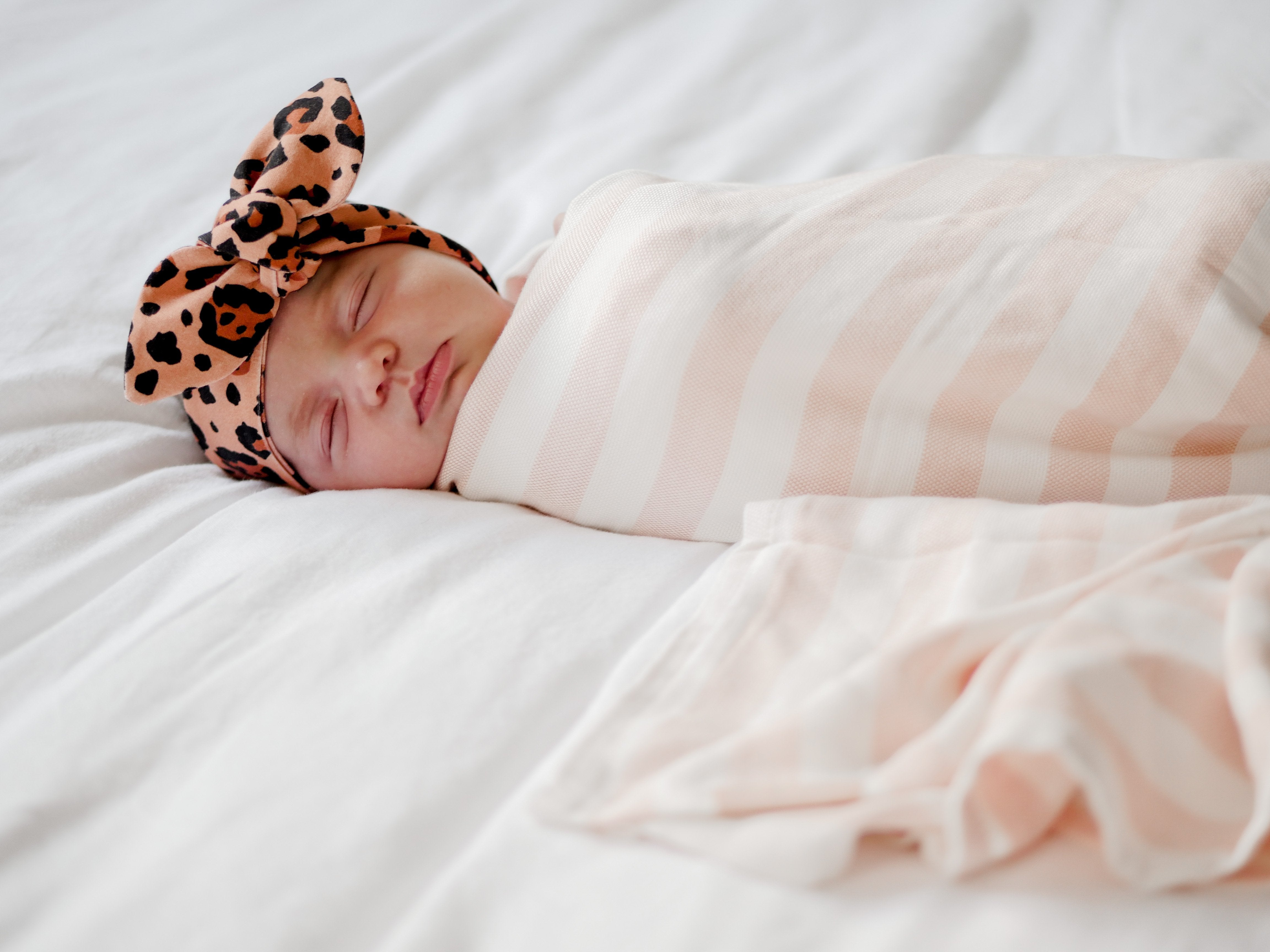 Bronze Leopard Top Knot Headband